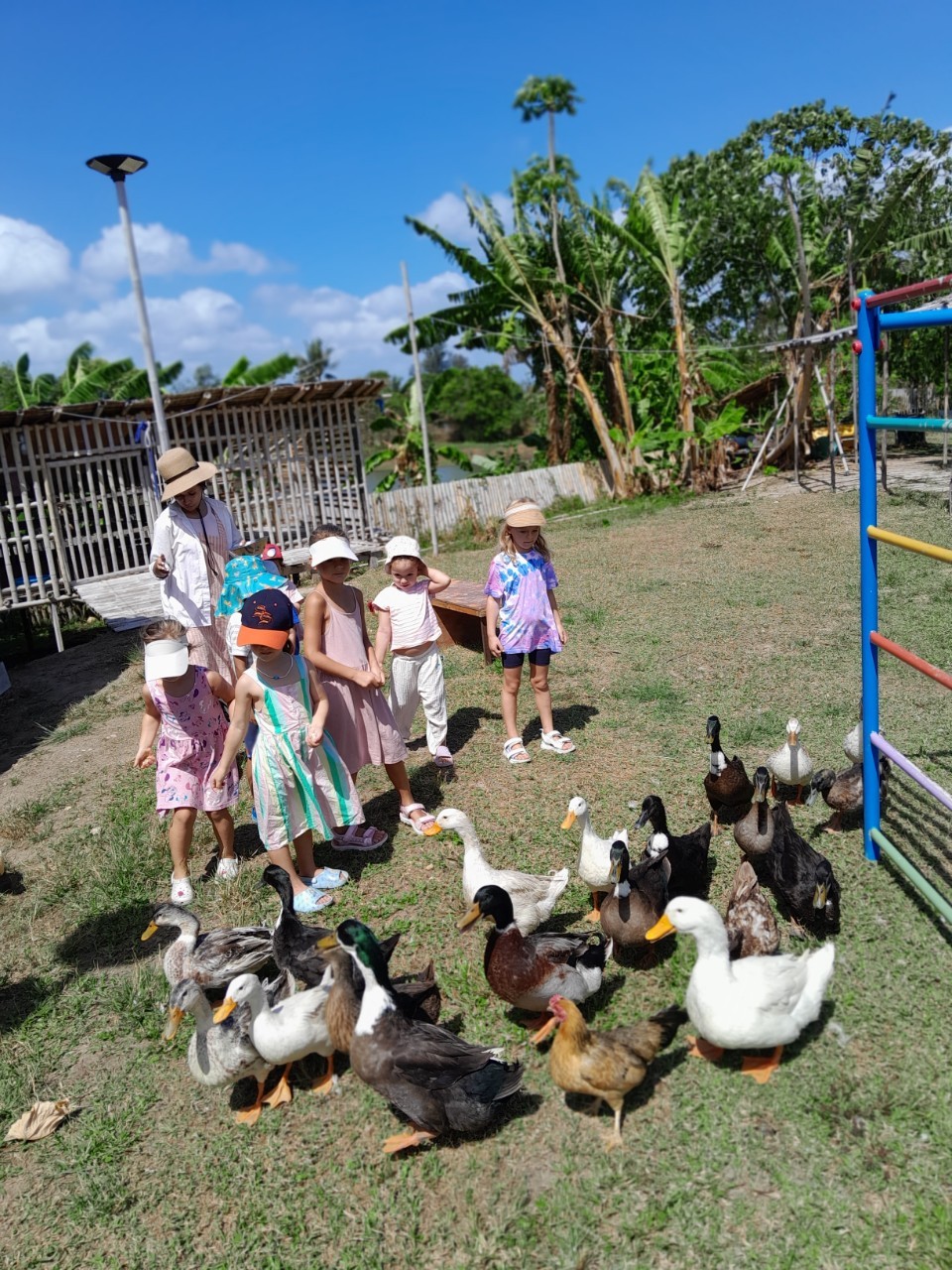 Children with animals
